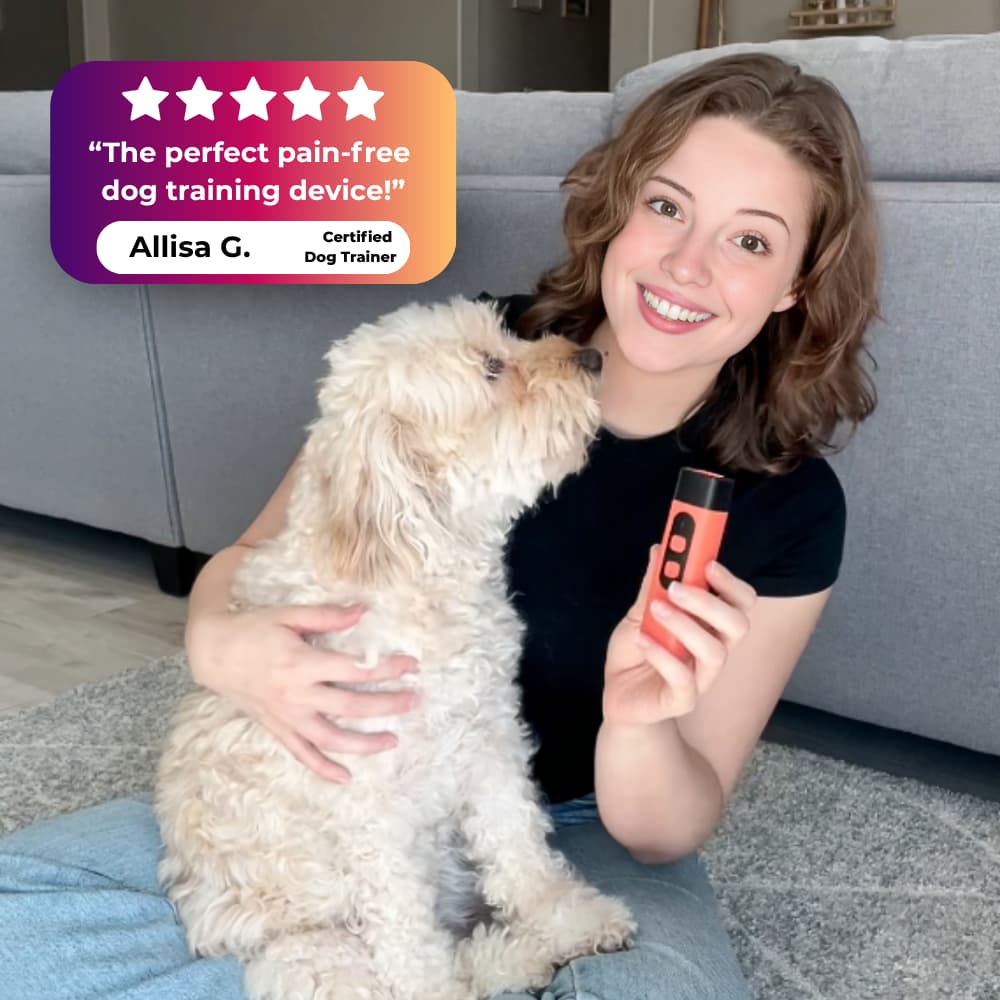 Solavie BarkStop Dog Trainer